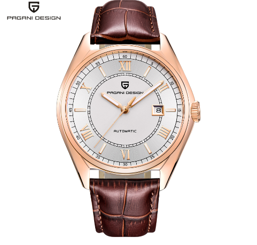 PAGANI DESIGN Men's Automatic Mechanical Watch (Leather)