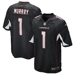 Arizona Cardinals Black NFL Jersey (Customizable)