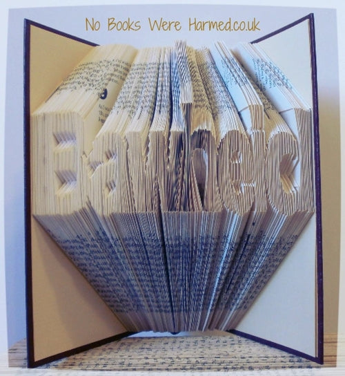 "Bawheid" hand folded into the pages of book : : Offensive Art : :
